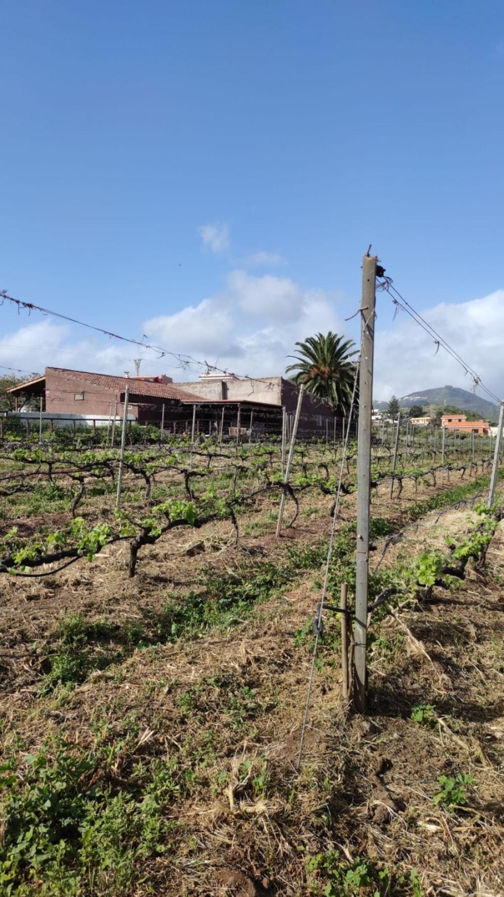  for sale country house El Infierno Zona Metropolitana 8