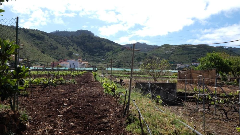  for sale country house El Infierno Zona Metropolitana 2