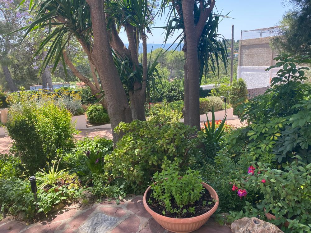  for sale villa Montserrat Ribera Alta 6