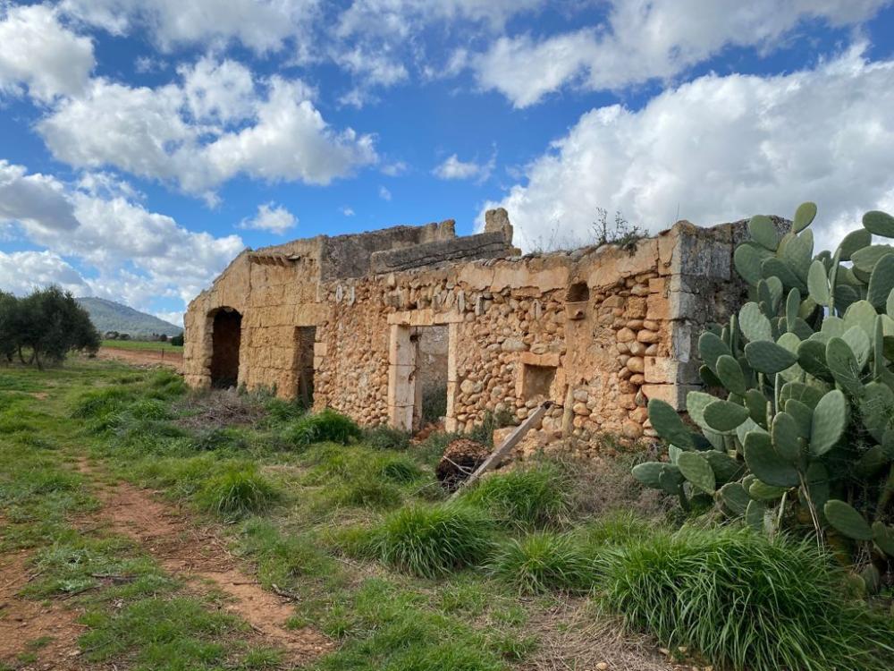  for sale country house Sa Pobla Nord 10