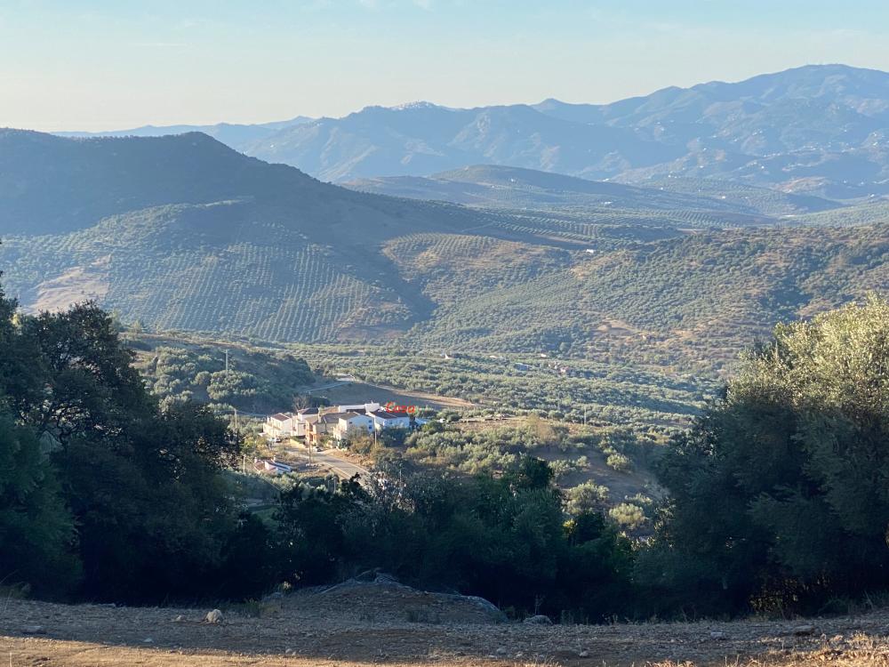  for sale semi-detached house Alfarnatejo Axarquía 29