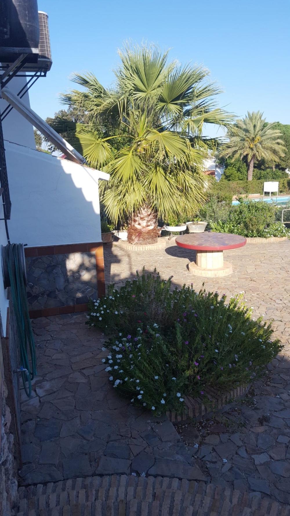  for sale villa Hornachuelos Valle Medio Del Guadalquivir 6