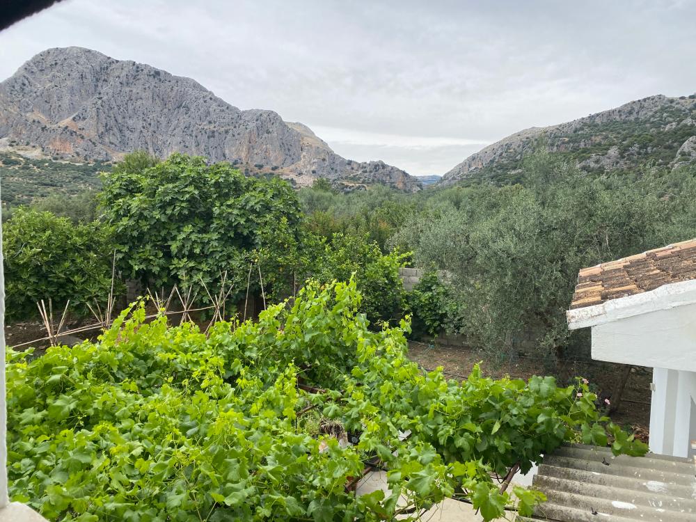  for sale semi-detached house Alfarnatejo Axarquía 20