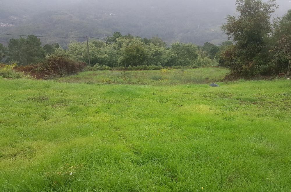  for sale house Carracedo Ourense 6