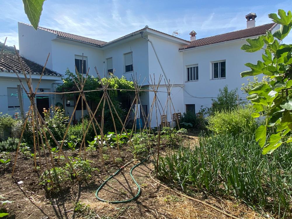  for sale semi-detached house Alfarnatejo Axarquía 18