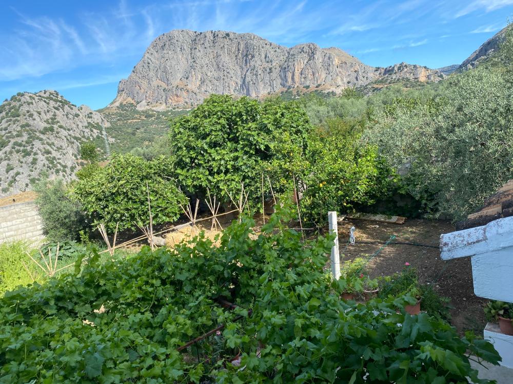  for sale semi-detached house Alfarnatejo Axarquía 31