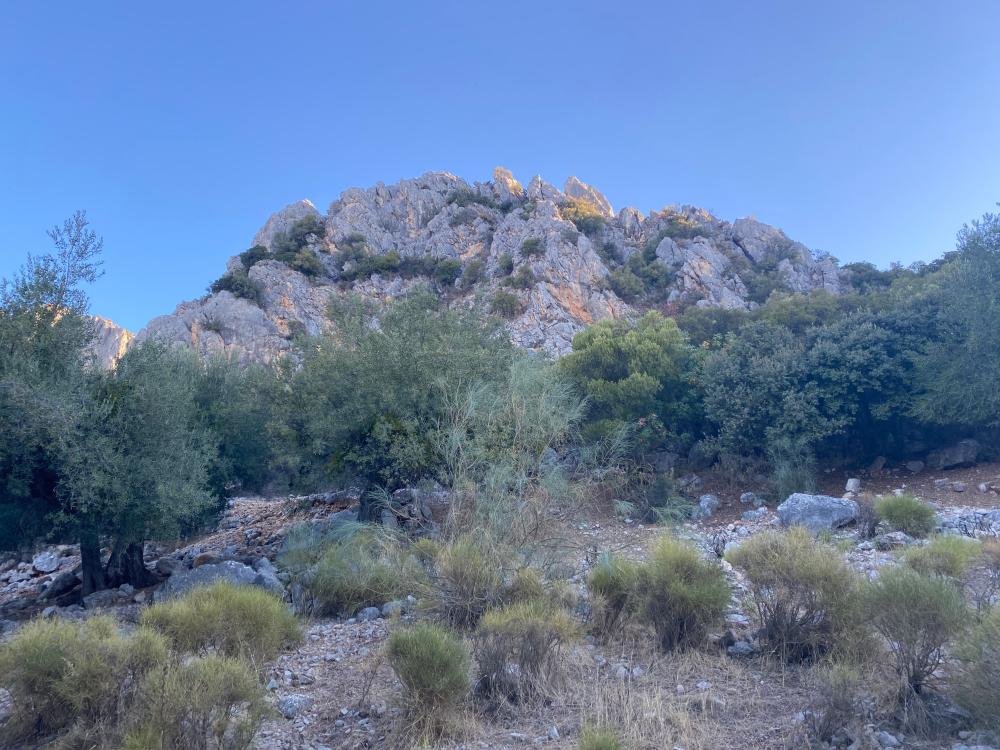  for sale semi-detached house Alfarnatejo Axarquía 30