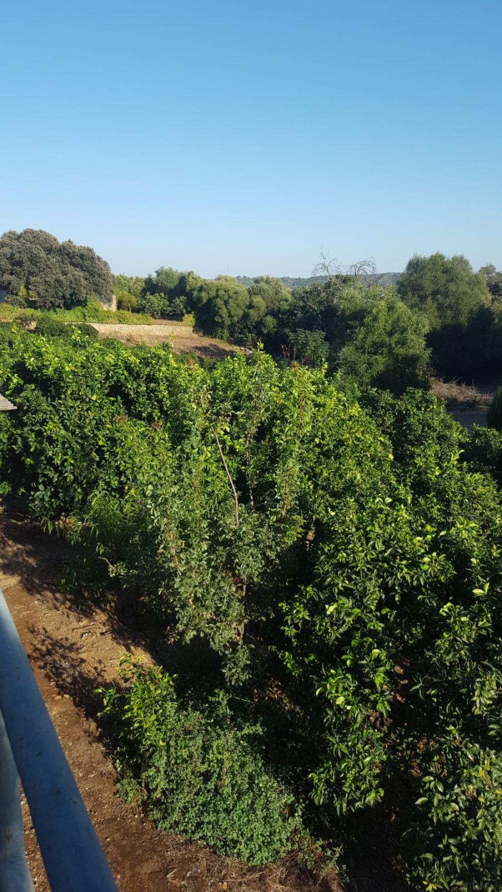  for sale villa Hornachuelos Valle Medio Del Guadalquivir 9