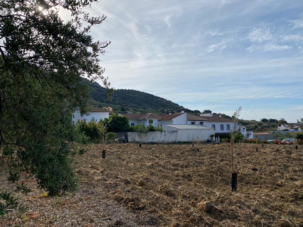  for sale semi-detached house Alfarnatejo Axarquía 23