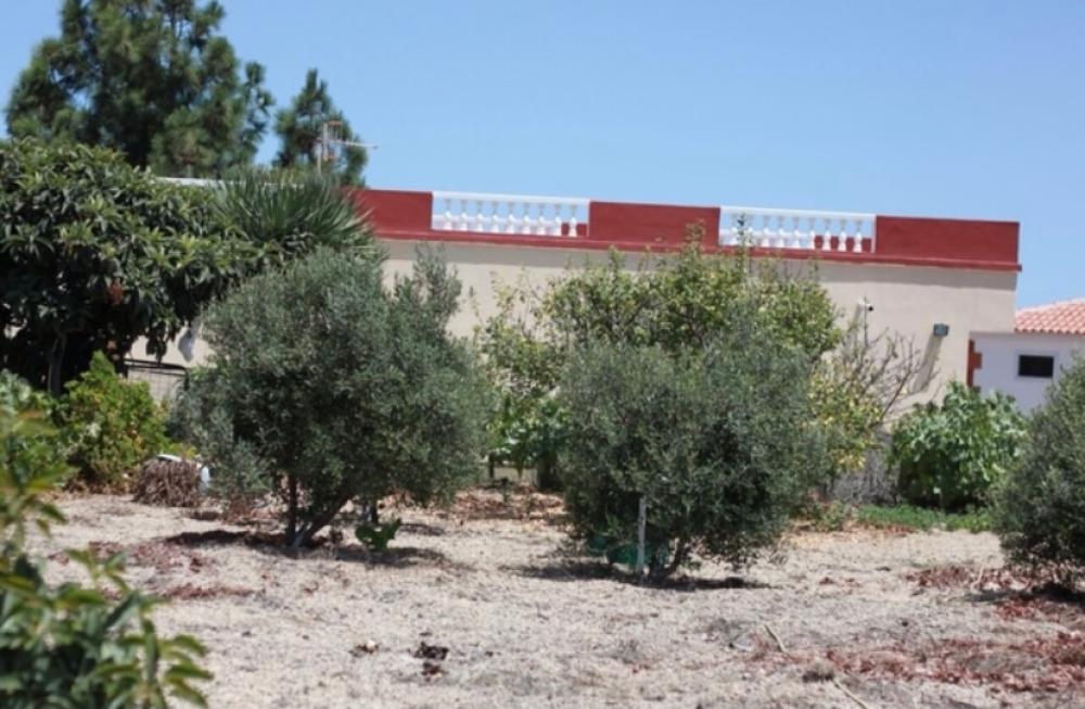  for sale country house Cruz De Tea Zona Sur 10