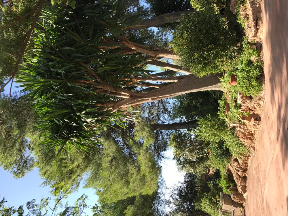  for sale villa Montserrat Ribera Alta 9