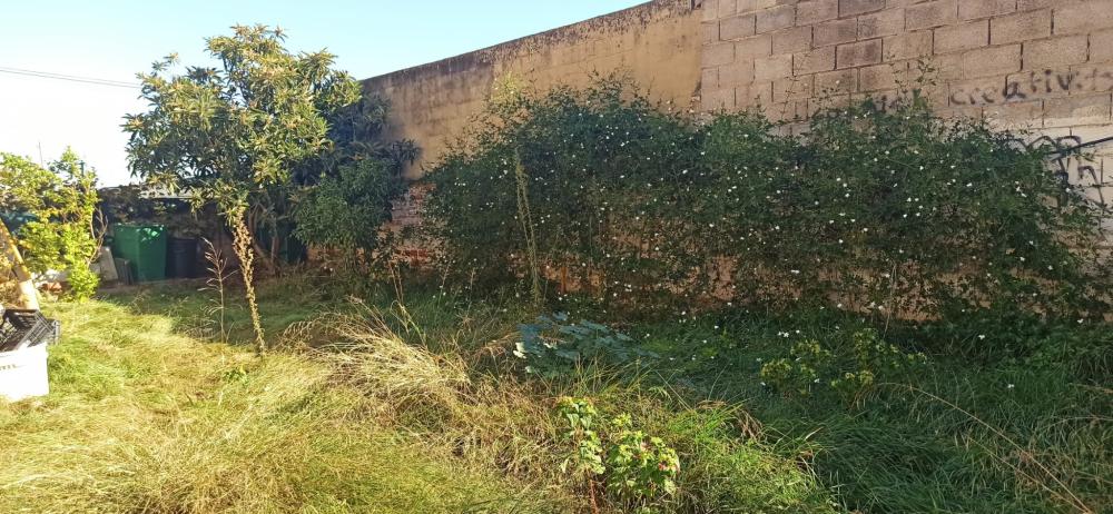  for sale country house Foios Horta Nord 15