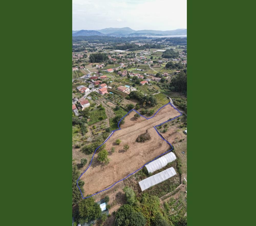  for sale plot Viso Dos Eidos Baixo Miño 1