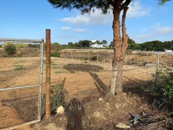 Puerto Real Bahía De Cádiz plot foto 5147740