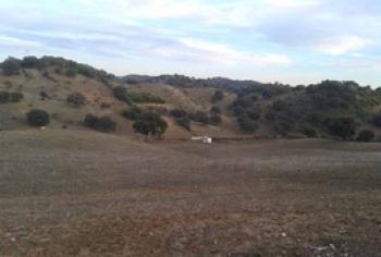 Coripe Campiña De Morón Y Marchena country house foto 5125295