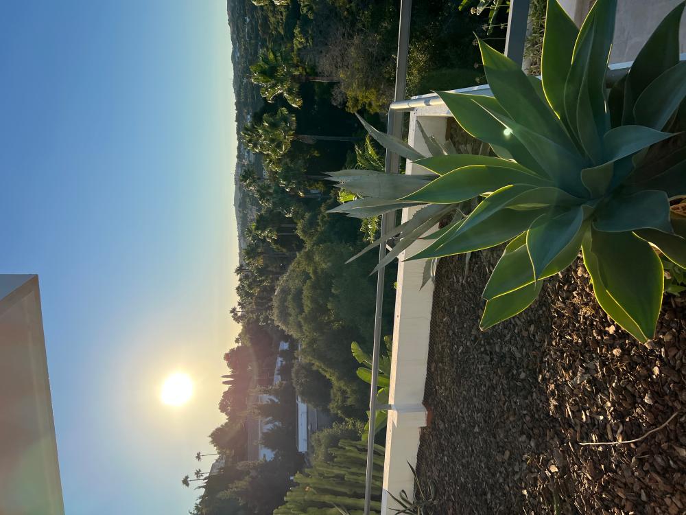  for sale villa Sotogrande Campo De Gibraltar 45