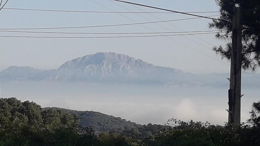  for sale plot El Cuartón Campo De Gibraltar 1