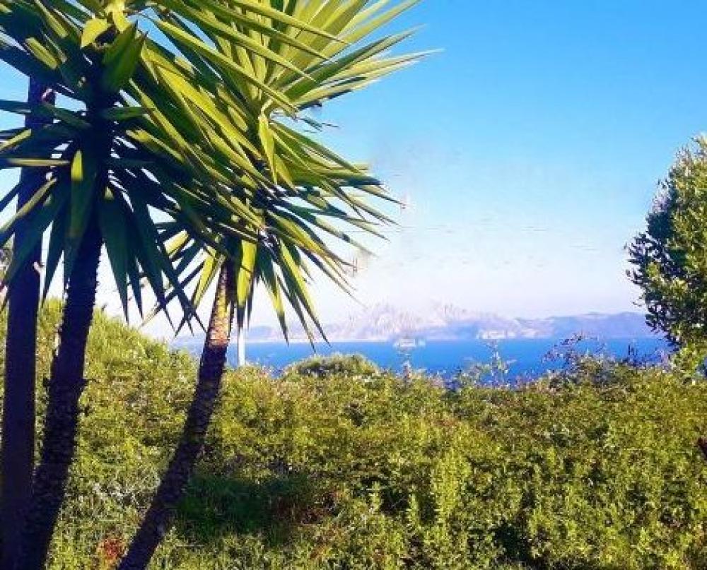 for sale plot El Cuartón Campo De Gibraltar 2