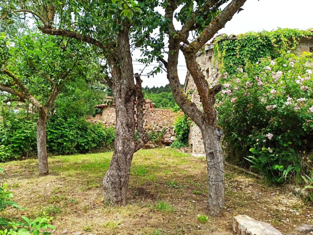  for sale house Rebolledo Campoo-Los Valles 1
