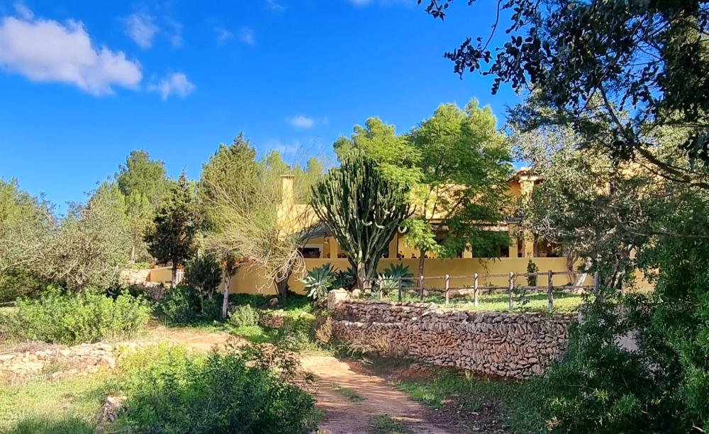  for sale country house Sant Rafel De Sa Creu Sant Antoni De Portmany 14