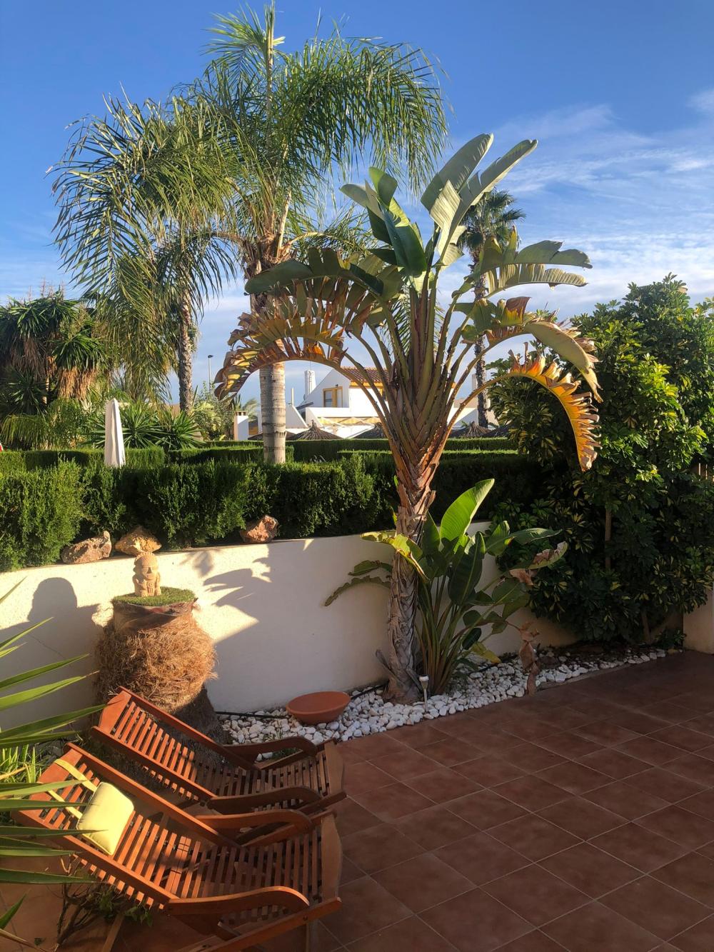  for sale duplex Torre De La Horadada Baix Segura 5