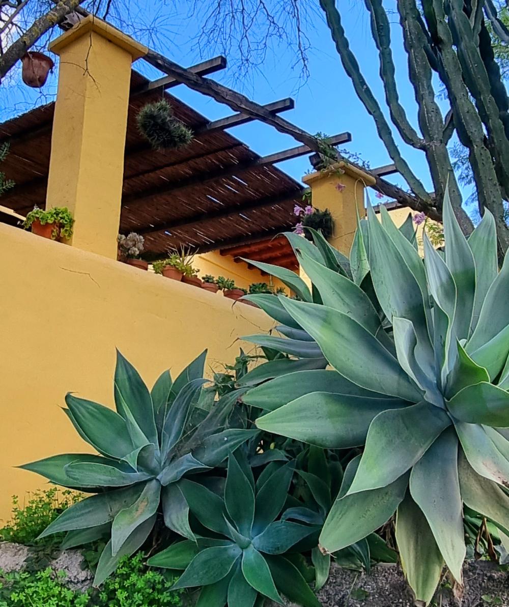 for sale country house Sant Rafel De Sa Creu Sant Antoni De Portmany 6
