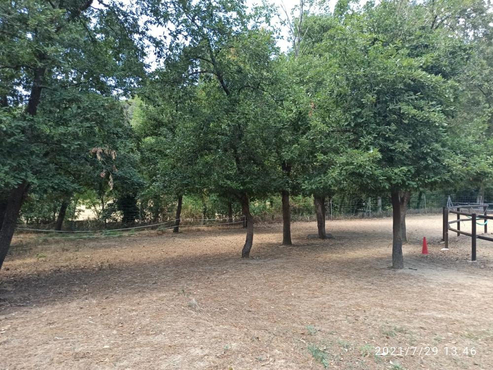 for sale country house Folgars De La Selva Maresme 2