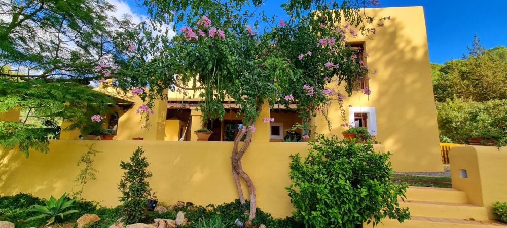  for sale country house Sant Rafel De Sa Creu Sant Antoni De Portmany 4