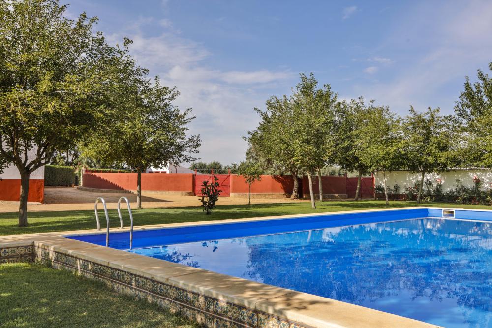  for sale villa Carmona Campiña De Carmona 12