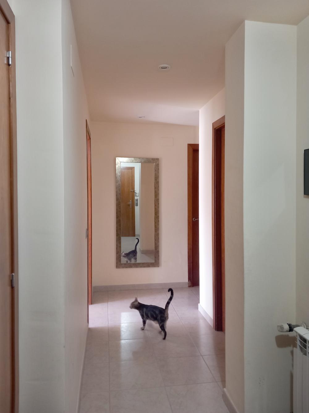  for sale duplex Canet De Mar Maresme 3