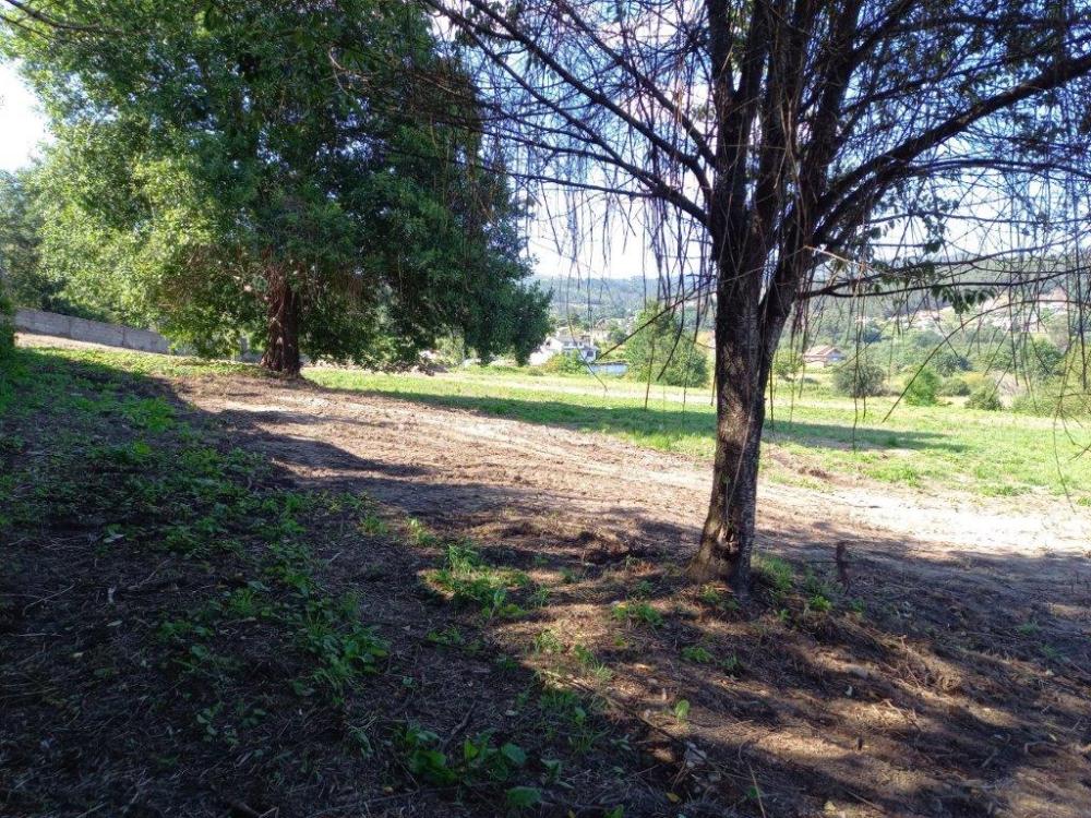  for sale plot Mondariz Condado 1