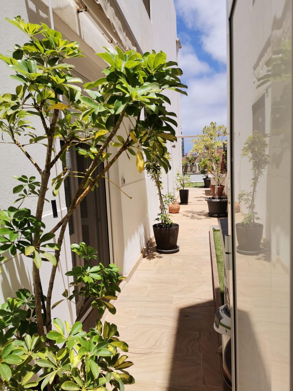 for sale apartment Ciudad Alta Palmas De Gran Canaria (Las) 2
