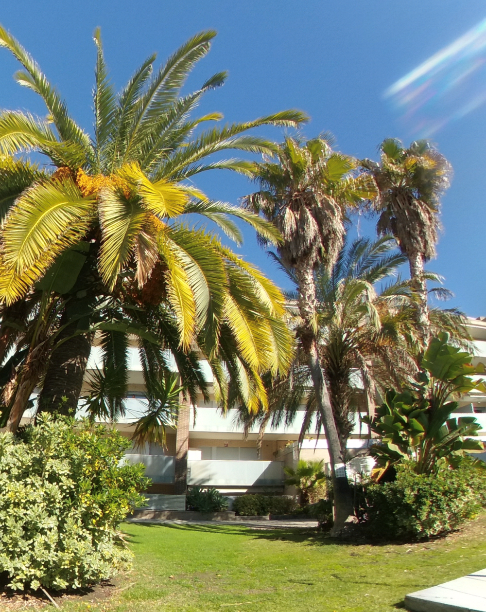  for sale apartment Salou Tarragonès 26