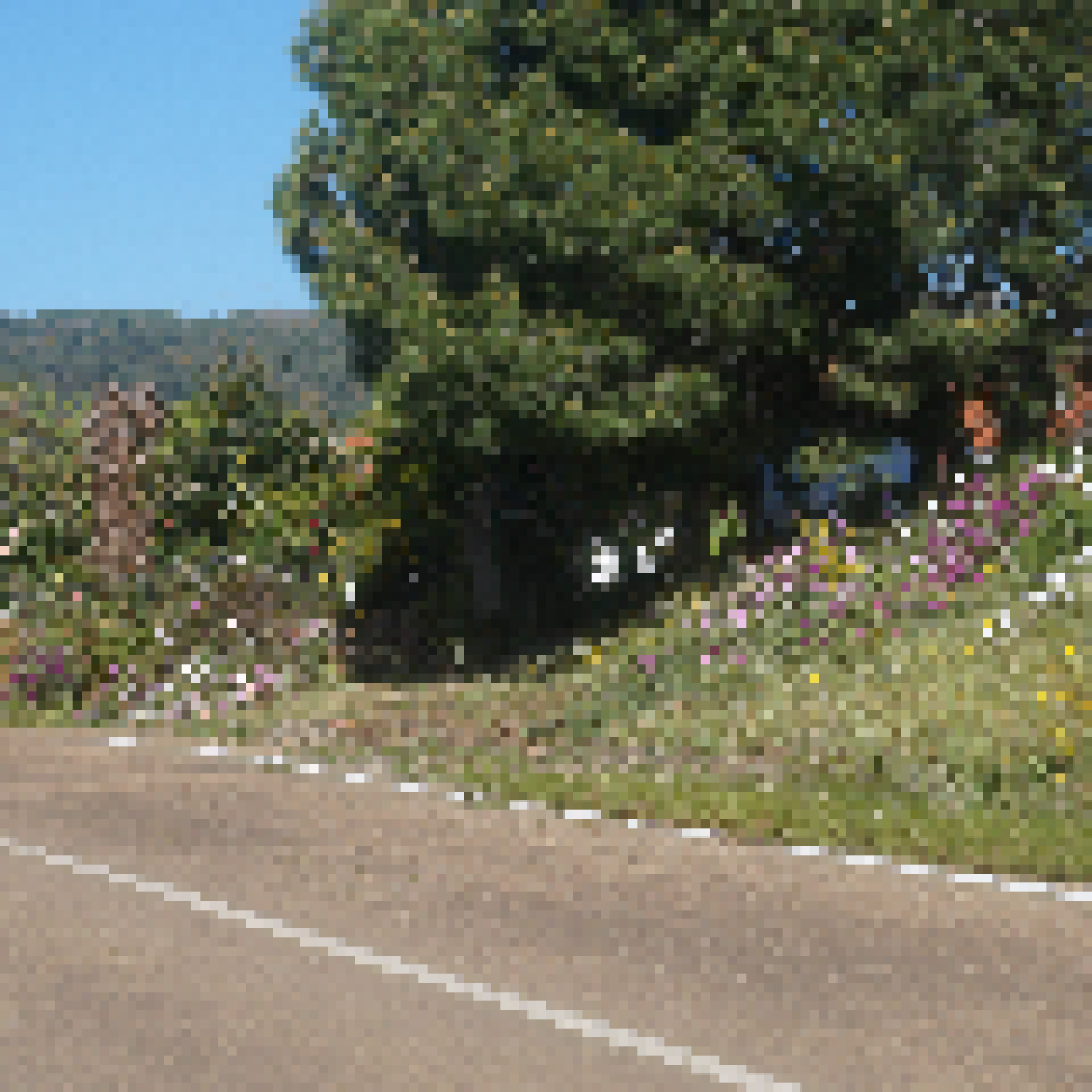  for sale country house La Codosera Alburquerque 2