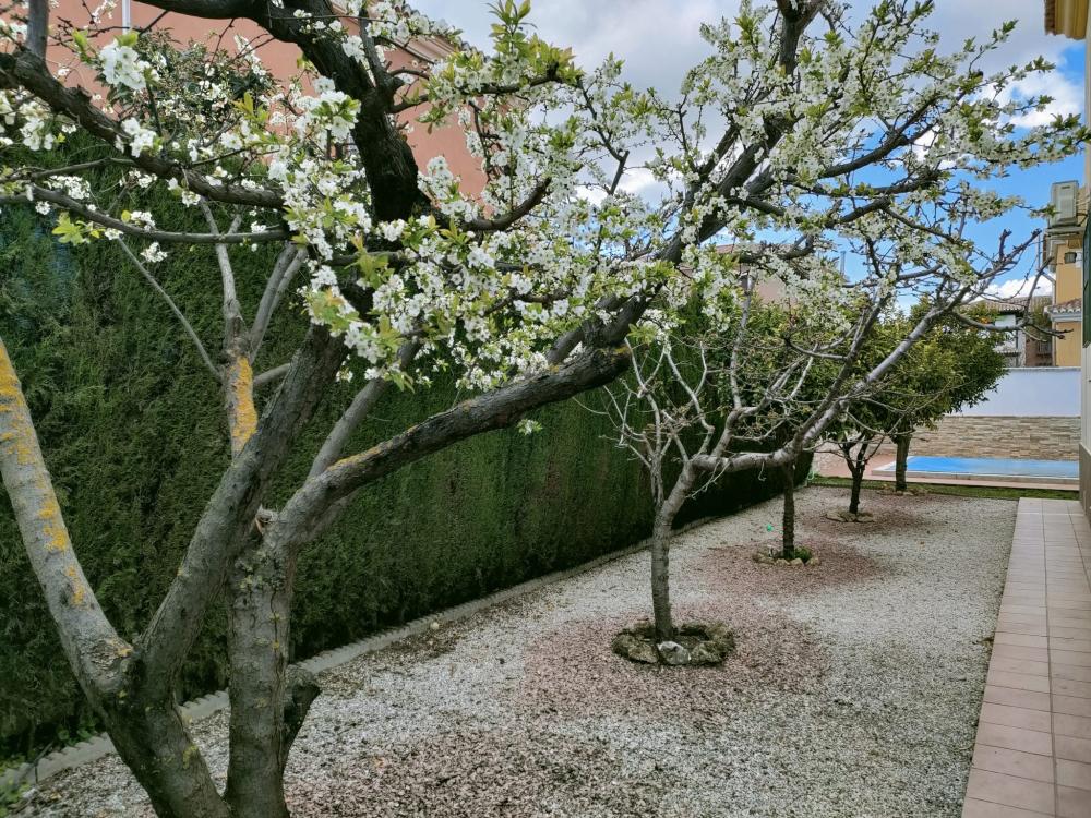  for sale house Belicena Vega De Granada 33