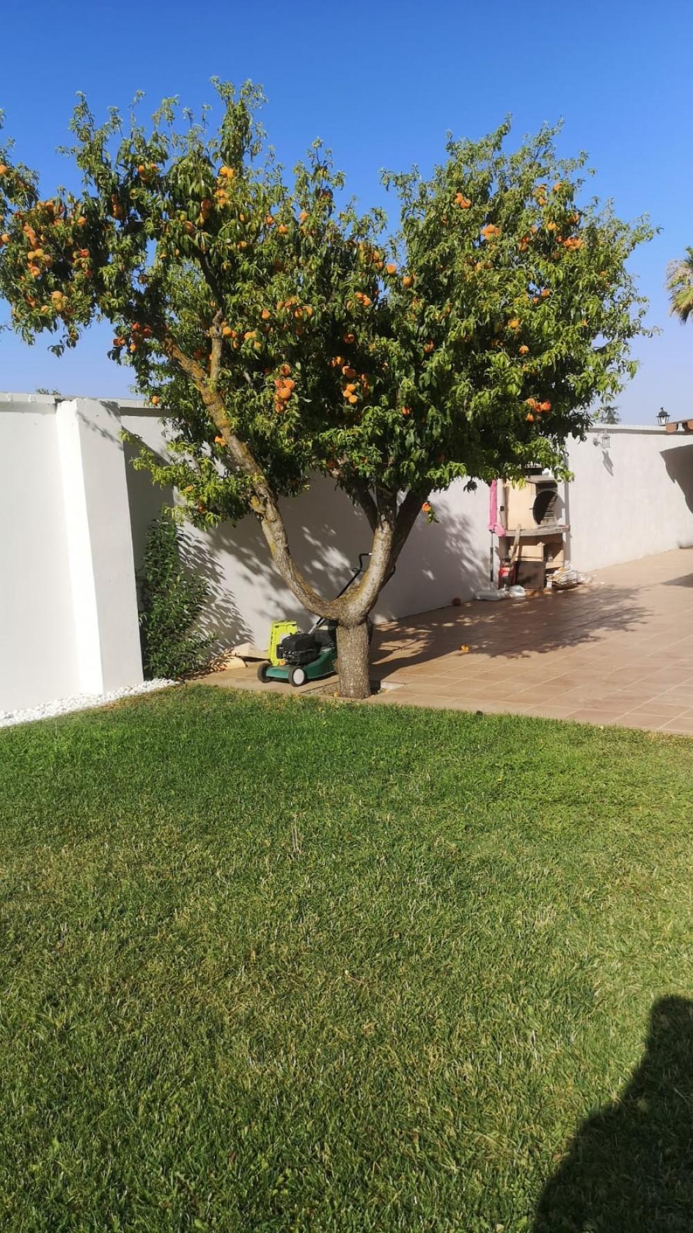  for sale house Belicena Vega De Granada 31