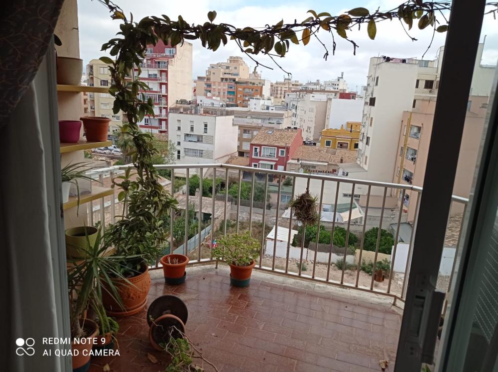  for sale apartment Plaza De Toros Palma 1