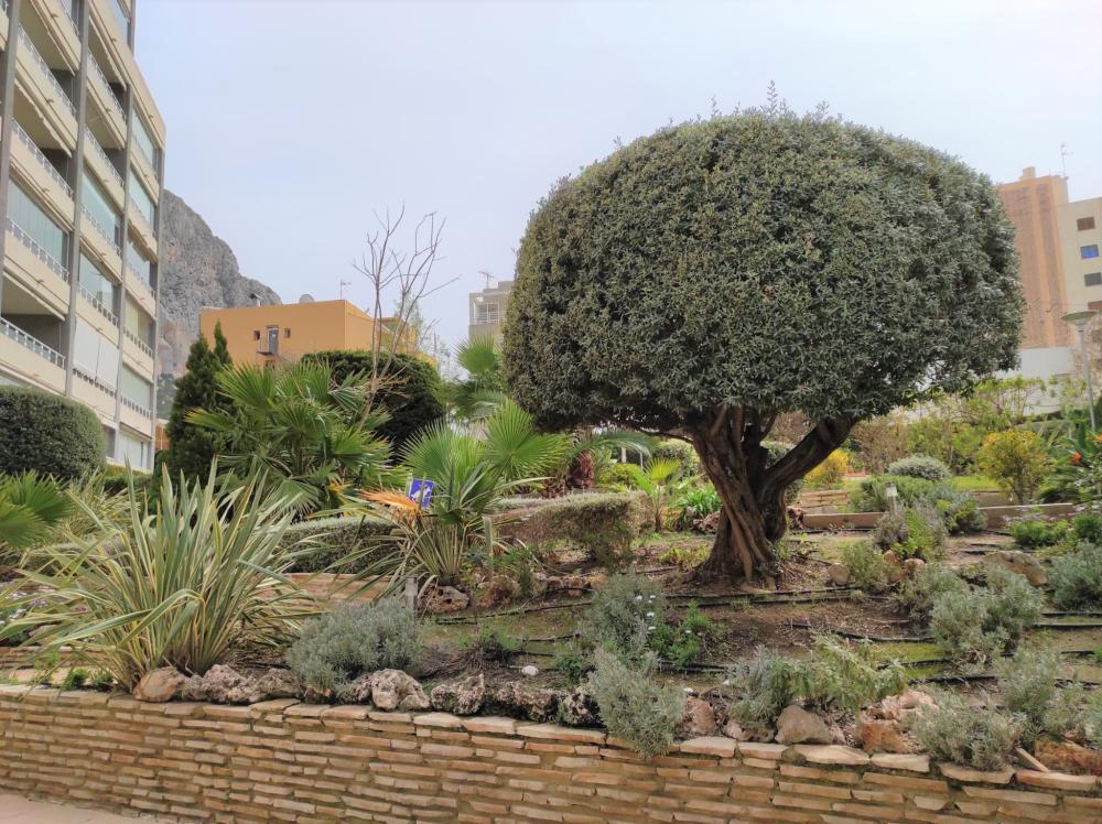  for sale apartment Calpe Marina Alta 32