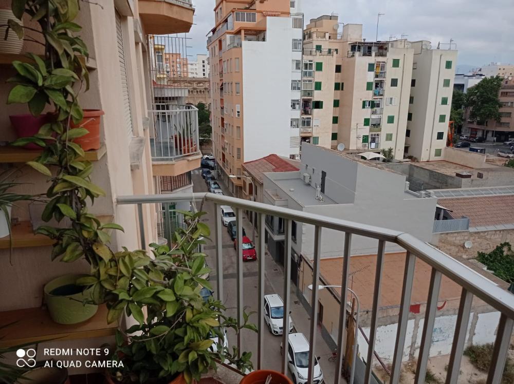  for sale apartment Plaza De Toros Palma 3