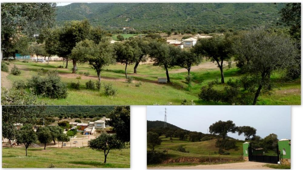  for sale country house Espiel Valle Del Guadiato 7