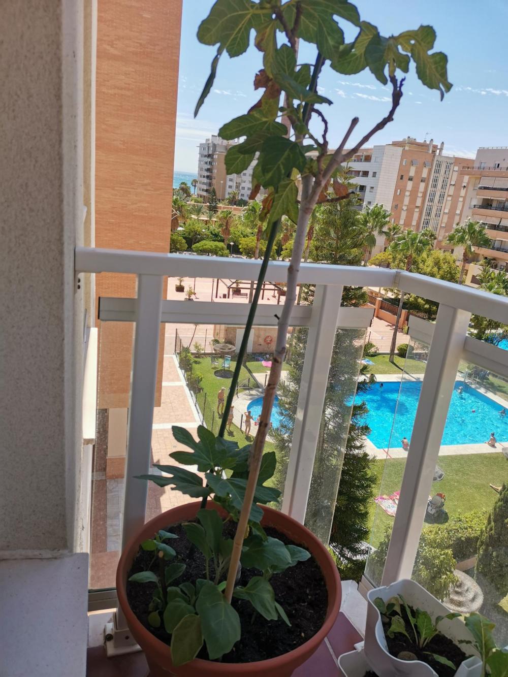  for sale apartment Carretera De Málaga Málaga-Costa Del Sol 18