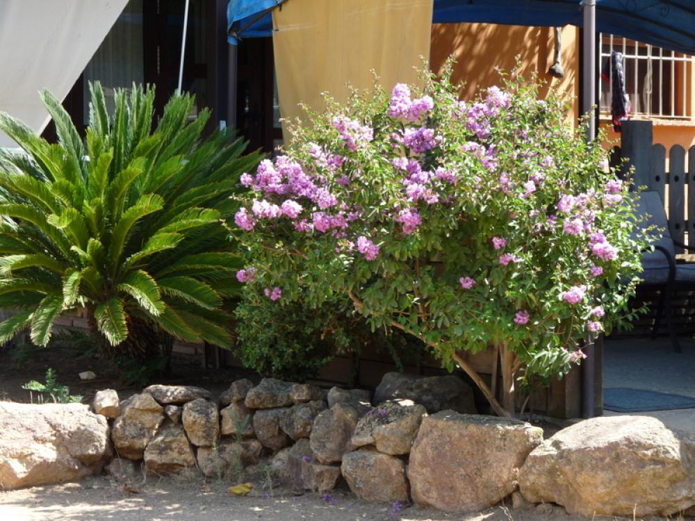  for sale country house Espiel Valle Del Guadiato 8