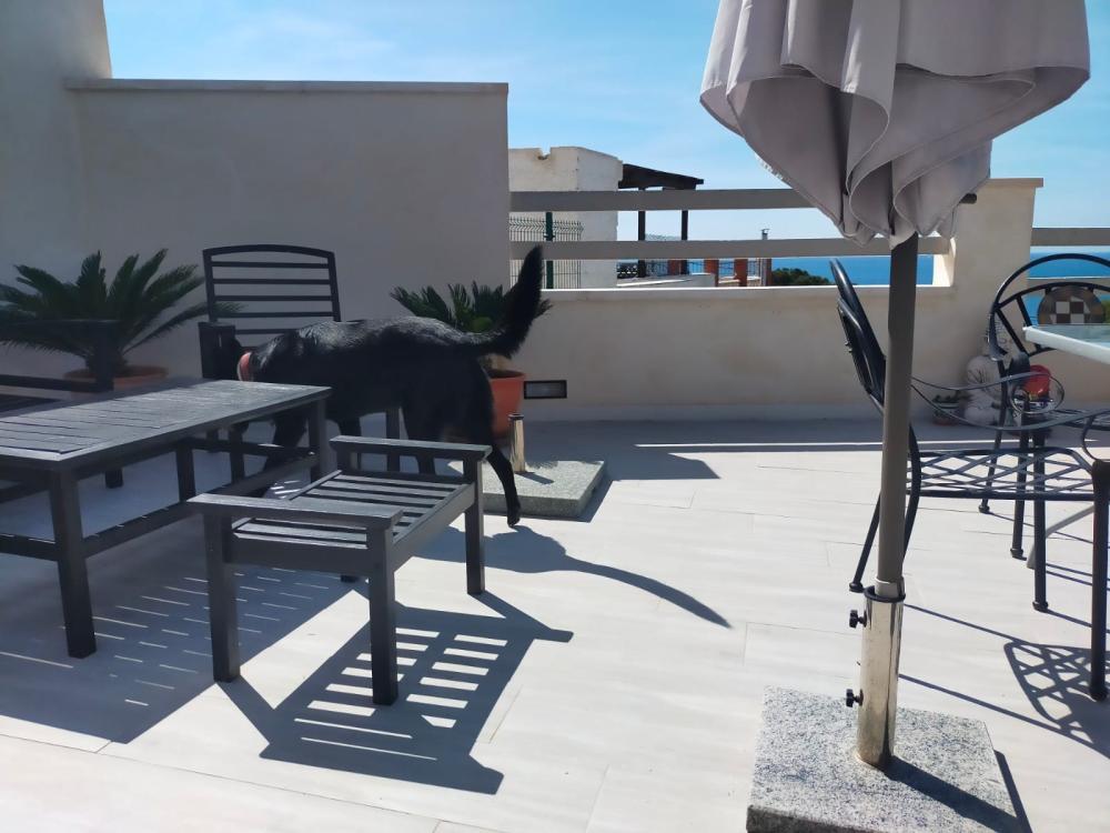  for sale villa Isla Plana Campo De Cartagena 9