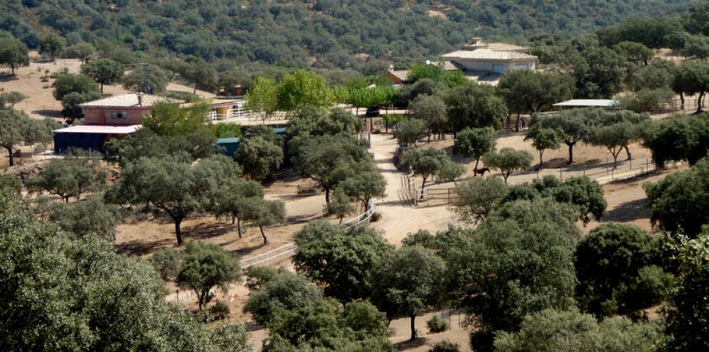  for sale country house Espiel Valle Del Guadiato 4