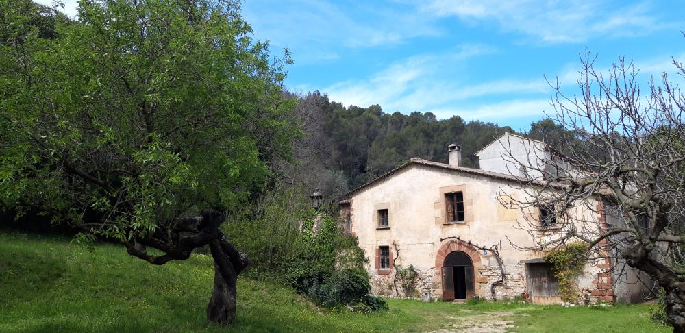  for sale country house Sant Andreu De La Barca Baix Llobregat 3