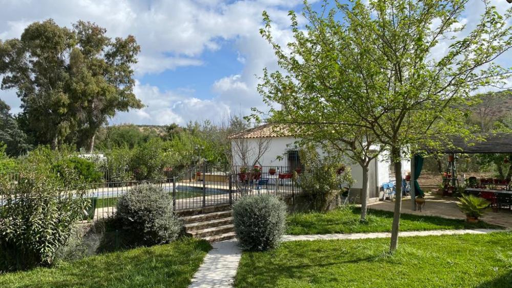  for sale villa Baena Campiña De Baena 13