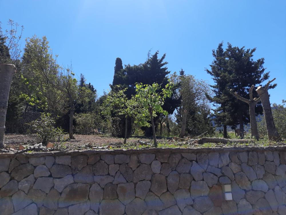  for sale plot Esporles Tramuntana 1