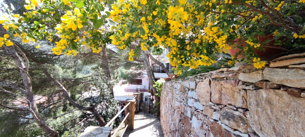  for sale house Begur Baix Empordà 5