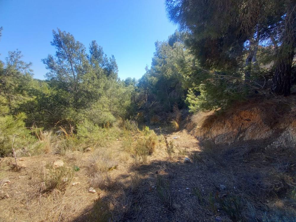  for sale plot Sierra De Altea Marina Baixa 12