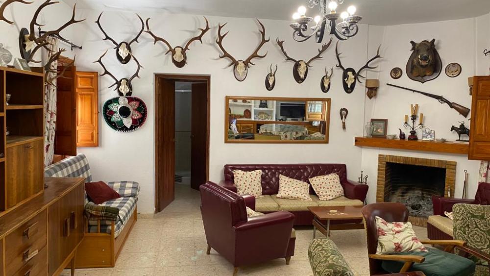  for sale villa Baena Campiña De Baena 19